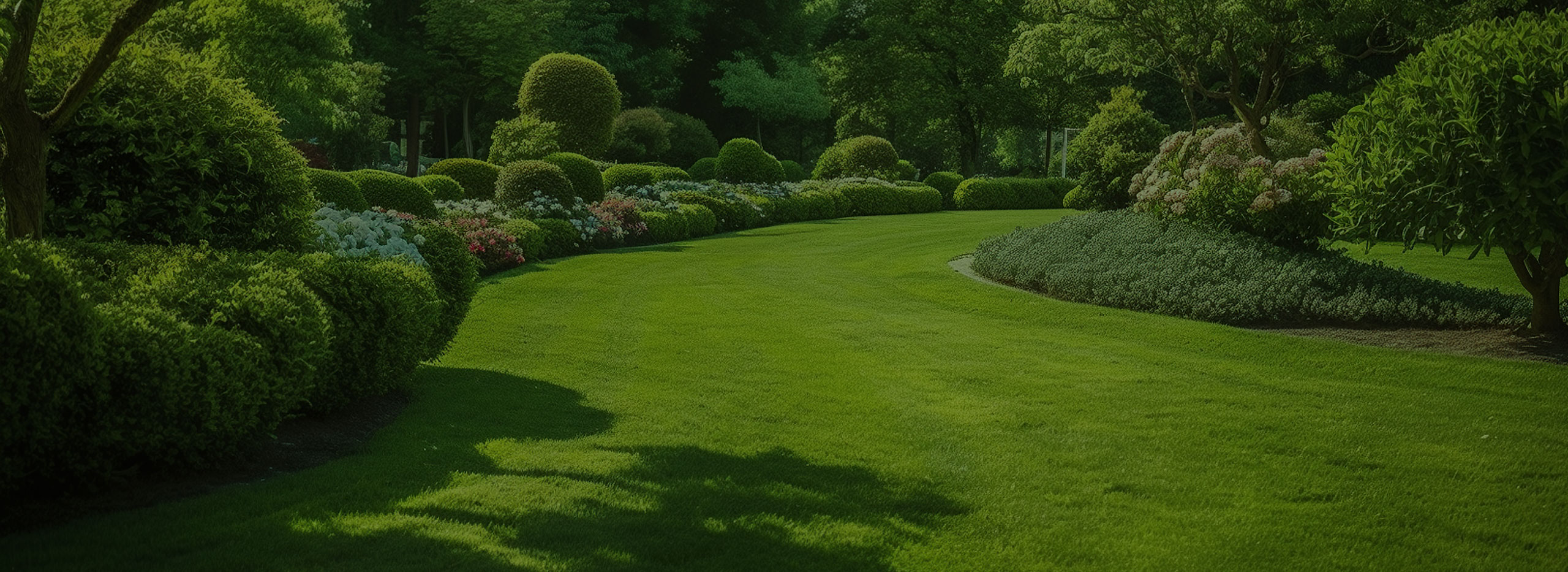 Lawn Renovation